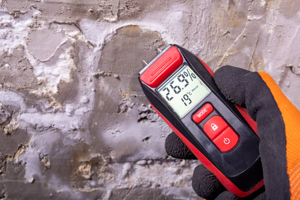 Certified Mold Removal in Mount Pocono, PA