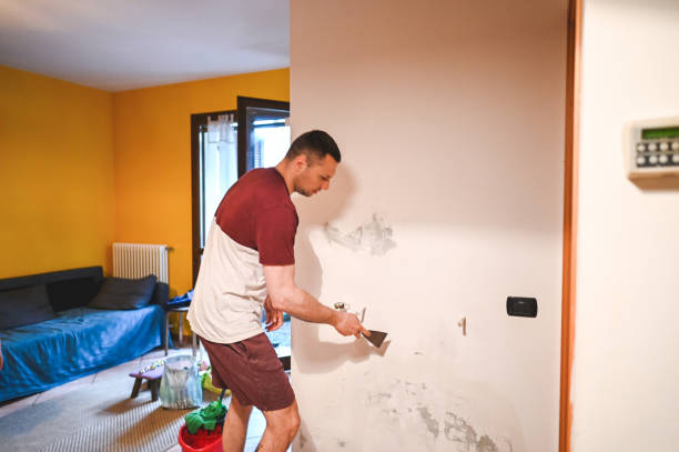 Best Professional Mold Removal  in Mount Pocono, PA